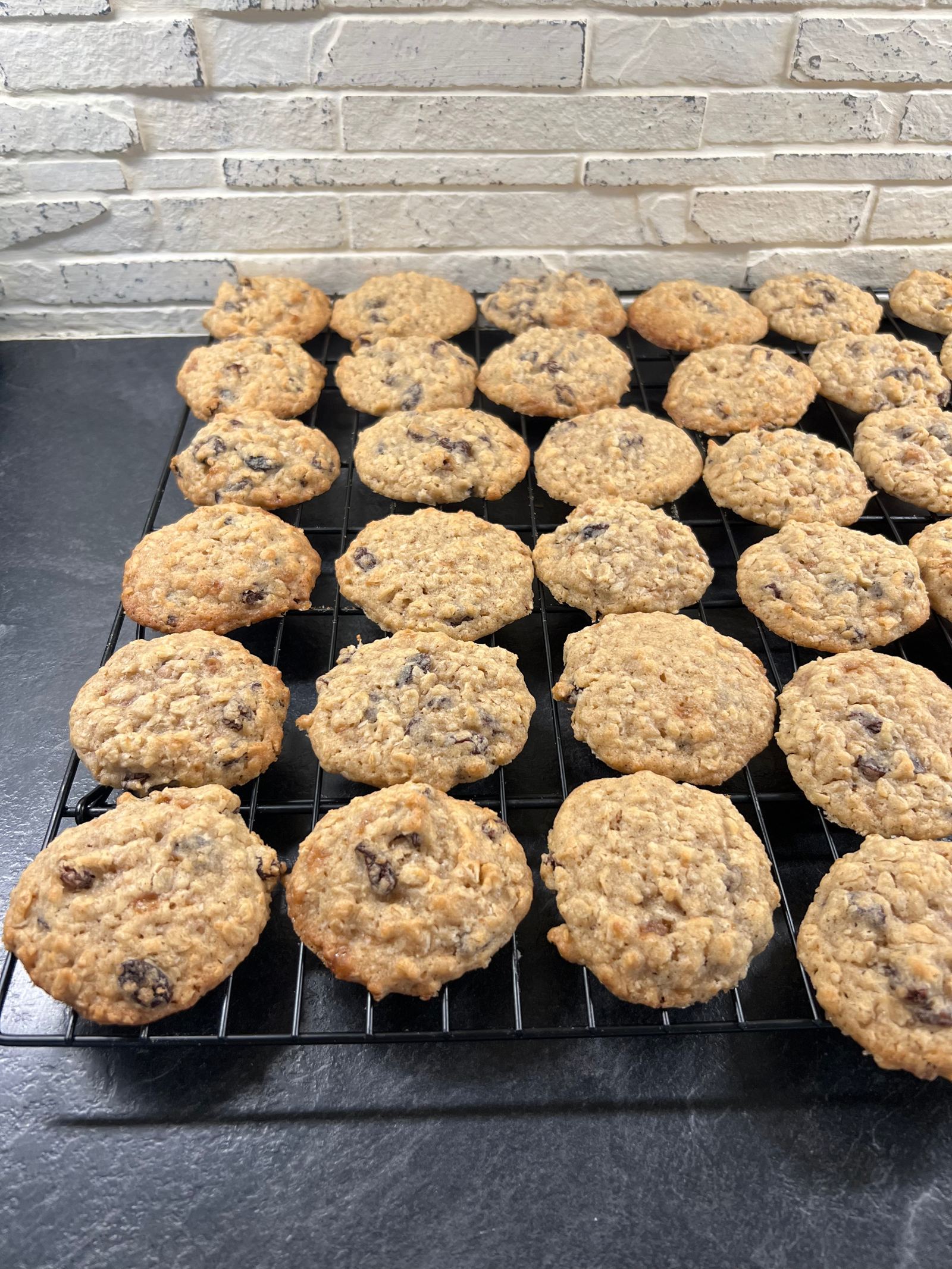 A tray of home-baked oatmeal chocolate chip cookies cooling on a rack